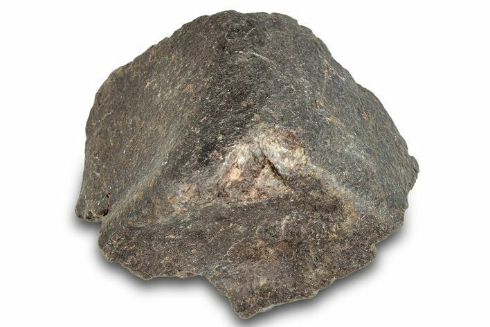 Chondrite Meteorite ( g) - Western Sahara Desert #285357